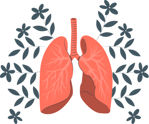 Wellinks | Onboarding experience&nbsp;revamp